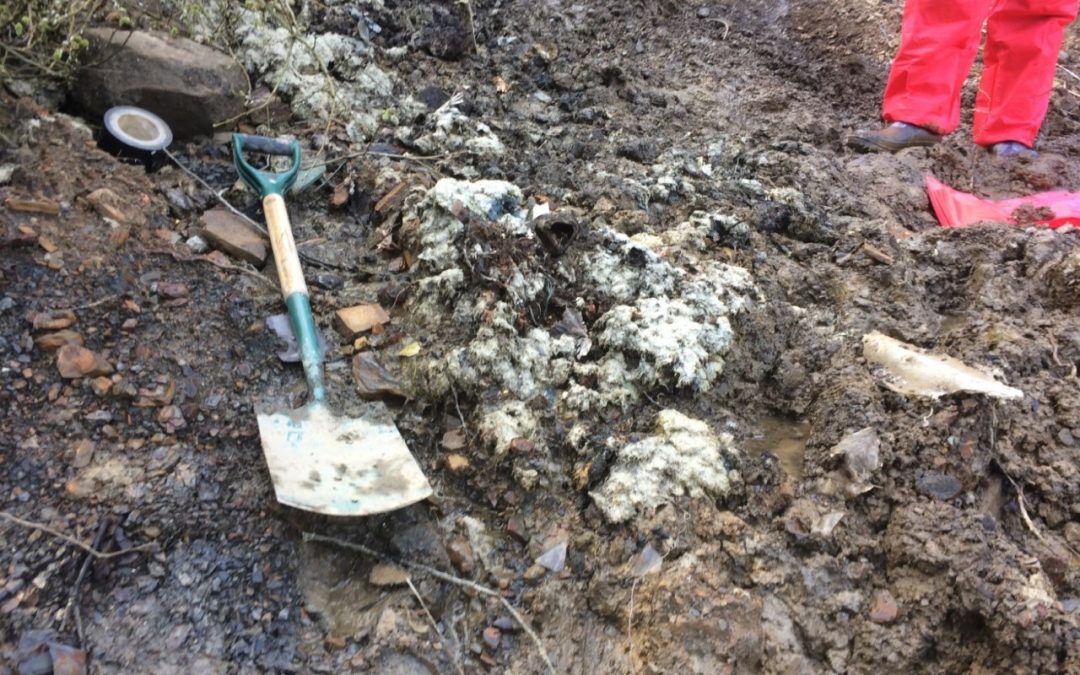 What is Contamination Testing?